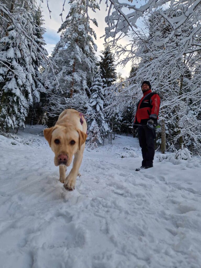 Hundejakke – skal min hund have jakke på?