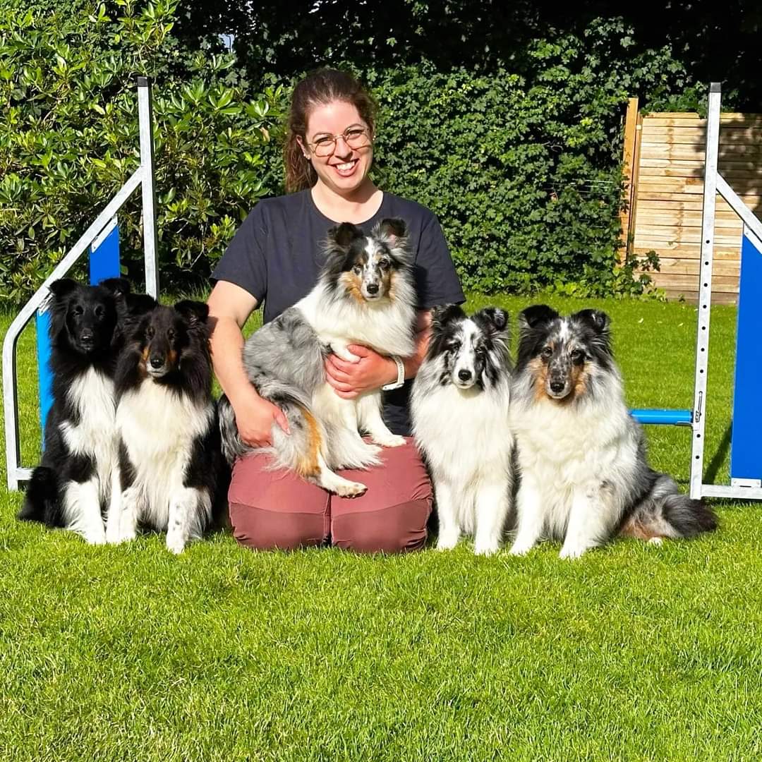 hunde osteopat