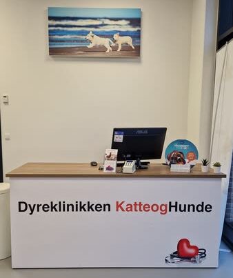 osteopati dyrlæge